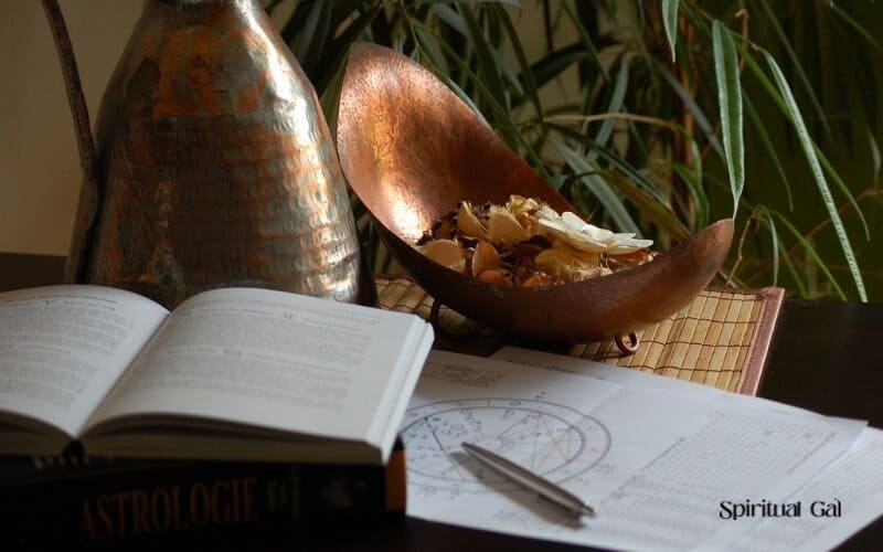 a book and a pot with flowers