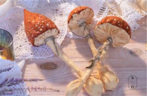 Full Moon Rituals for Green Witches - Spiritual Gal